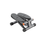 ZynFitPro™ StepFit Pro