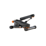 ZynFitPro™ StepFit Pro